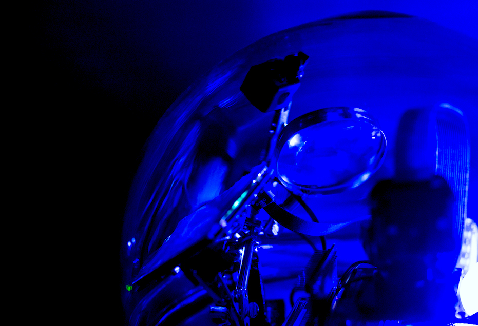 Artificial Perspectives airium closeup
